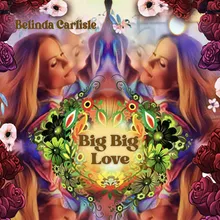 Big Big Love