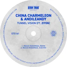 Tunnel Vision (feat. Ziyon) [Rocco Rodamaal Dub Mix]
