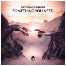 Something You Need (feat. Chris Burke) [Radio Mix]
