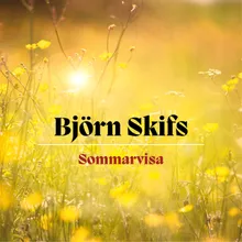 Sommarvisa