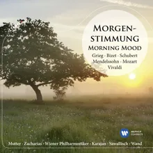 Suite No. 1 from Peer Gynt, Op. 46: I. Morning Mood