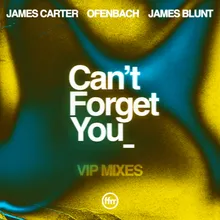 Can’t Forget You (feat. James Blunt) [James Carter VIP Remix]
