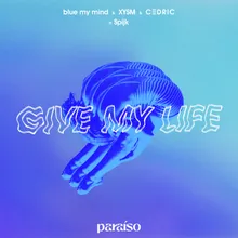 Give My Life (feat. Spijk)