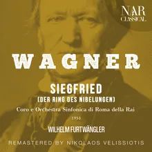 Siegfried, WWV 86C, IRW 44, Act II: "Zur Neidhöhle fuhr ich bei Nacht" (Wanderer, Alberich)