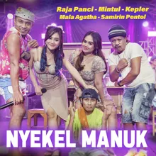 Nyekel Manuk