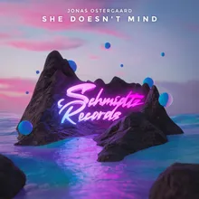 She Doesn't Mind (Radio Edit)