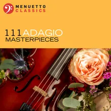 Serenade for String Orchestra, Op. 20: II. Larghetto