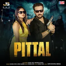 Pittal (feat. Sunil Rao, Manisha Rana)
