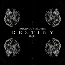 DESTINY (Remix)