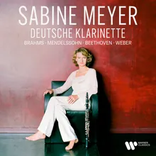Variations on a Theme from Silvana in B Minor, Op. 33, J. 128: Variation I (Arr. Schottstädt for Clarinet and Orchestra)