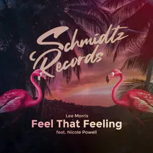 Feel That Feeling (feat. Nicole Powell) [Extended Mix]