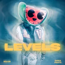 Levels (Sped Up Nightcore)