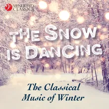 The Seasons, Op. 67: Winter - Variation IV "Snow