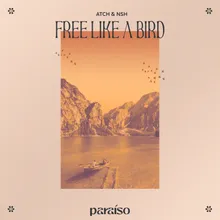 Free Like A Bird