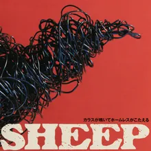 Sheep