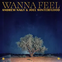 Wanna Feel