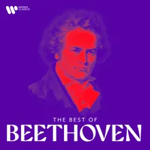 Symphony No. 2 in D Major, Op. 36: III. Scherzo. Allegro