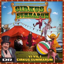 Vi vil i Cirkus Summarum