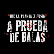 A PRUEBA DE BALAS