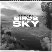 Birds In The Sky (Acoustic)