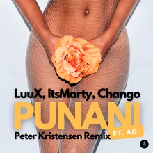 Punani (feat. AG) [Peter Kristensen Remix ]