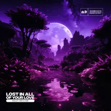 Lost In All Of Your Love (Extended Mix)
