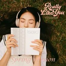 Really Like You (Spring Version)