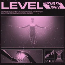 Level (feat. Nation Boss)