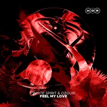 Feel My Love (Extended Mix)