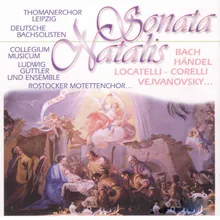 Concerto grosso in F Minor, Op. 1, No. 8: I. Largo - II. Grave - III. Vivace - IV. Grave