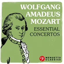 Violin Concerto No. 2 in D Major, K. 211: I. Allegro moderato