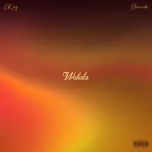 Wahala (feat. Olamide)