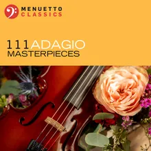 Concerto for 2 Violins in D Minor, BWV 1043: II. Largo, ma non tanto