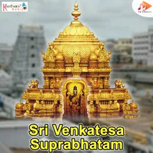 Sri Venkatesa Stotram