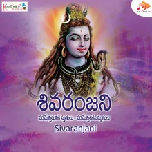 Shivam Shankaram