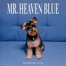 Mr. Heaven Blue