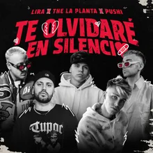 Te Olvidaré En Silencio