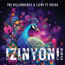 Izinyoni (feat. Volka) [Remix]