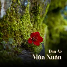 Đan Áo Mùa Xuân