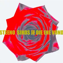 Sinds Je Die Ene Vond