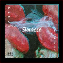 Siamese (feat. $pacely)