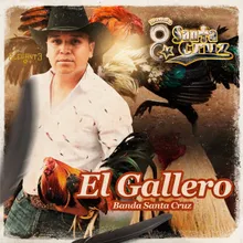 El Gallero