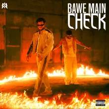 BAWE MAIN CHECK