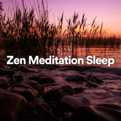 Sleep Meditation 8