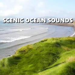 Serene Meditative Beach Waves Recording