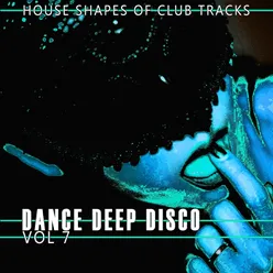 Acid Disco House Mix