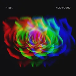 Acid Sound