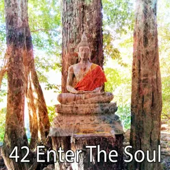 42 Enter The Soul