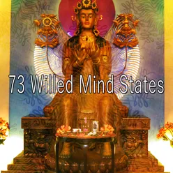 73 Willed Mind States