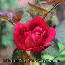 15 Peaceful Yoga White Noise Treatment